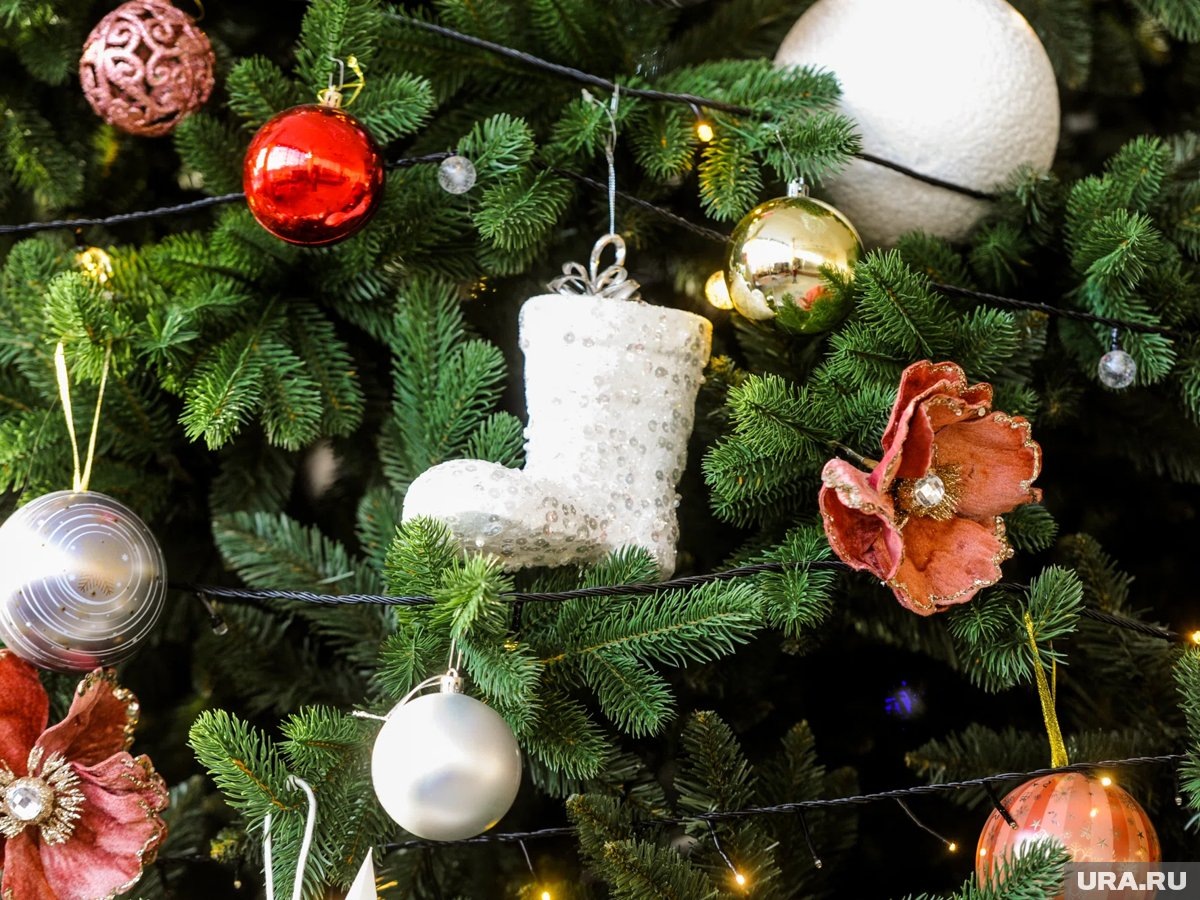    Елки начинают продавать примерно за десять дней до Нового года