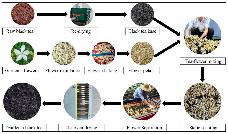 pmc.ncbi.nlm.nih.gov