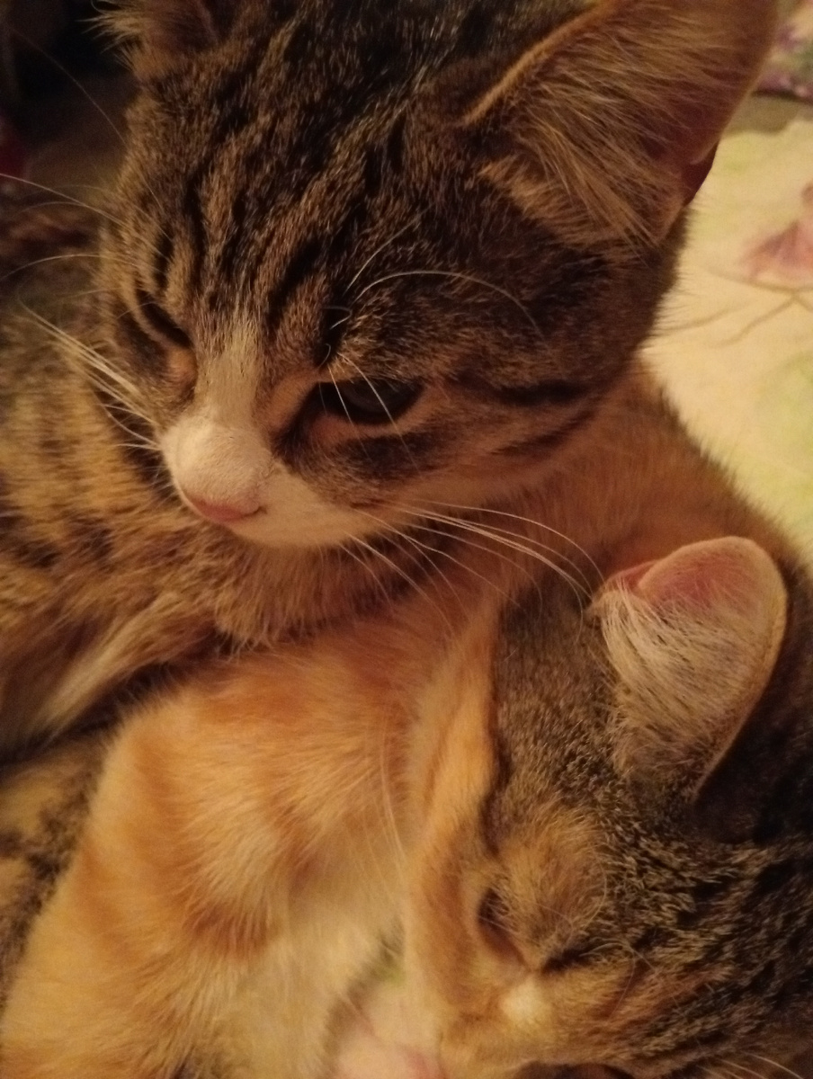 Сладкая парочка - Невася и Маруся!