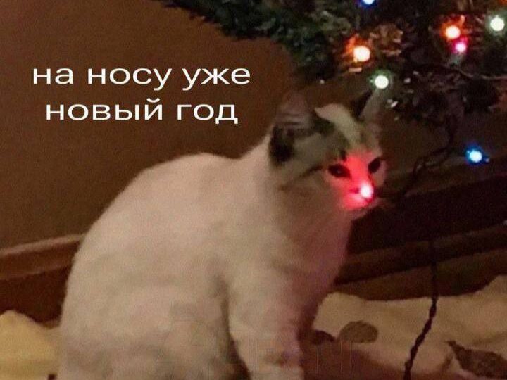 Зрелость — это способность самим дать себе то, чего вы когда-то ждали от других