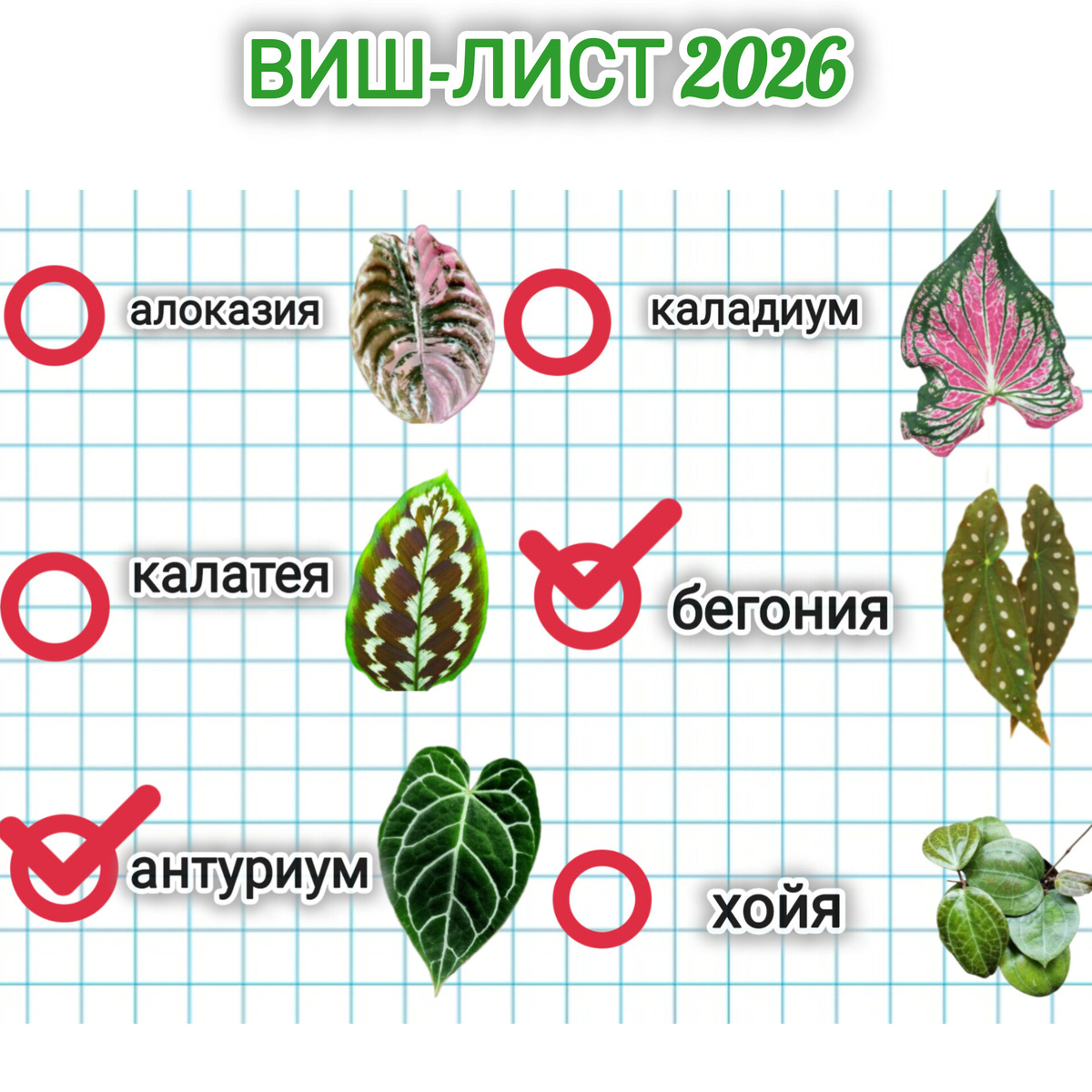 Для обложки