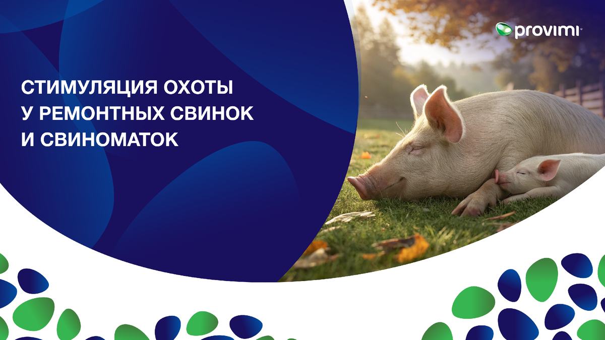 Викулов Сергей, ветеринарный врач ООО Провими (Cargill)