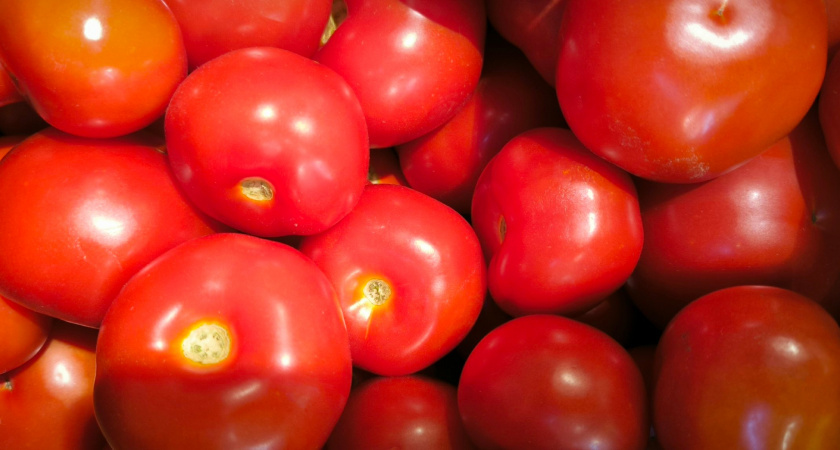    Фотоархив редакции