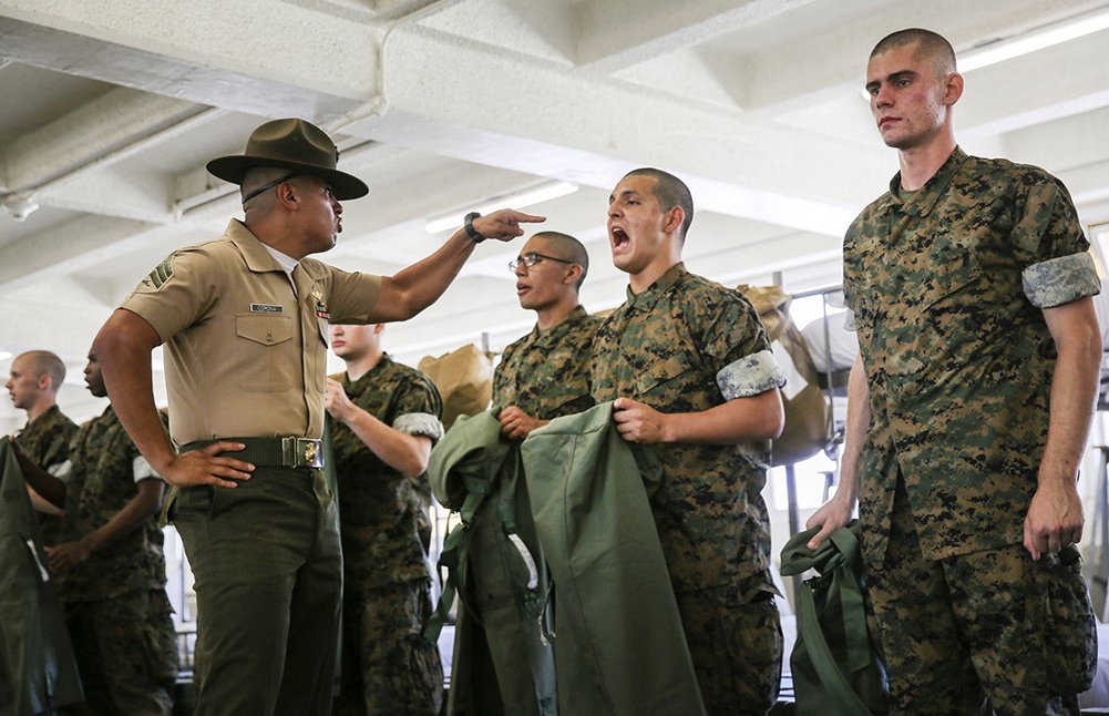    ©United States Department of Defense