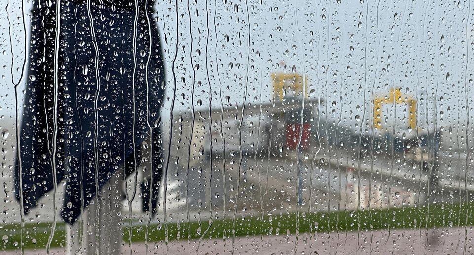    Bodo Marks/dpa / www.globallookpress.com