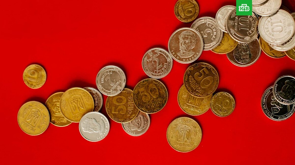    Фото: Kateryna Hliznitsova / unsplash.com