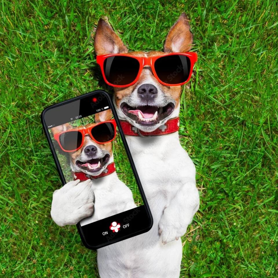 Официальный ведущий 