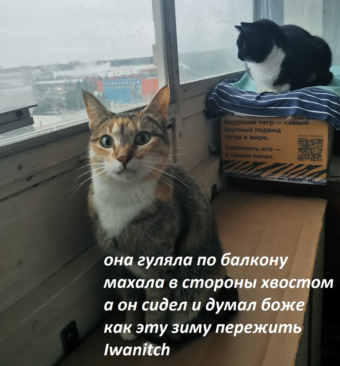 Второй вариант. Надпись на коробке под Кимом в тему.