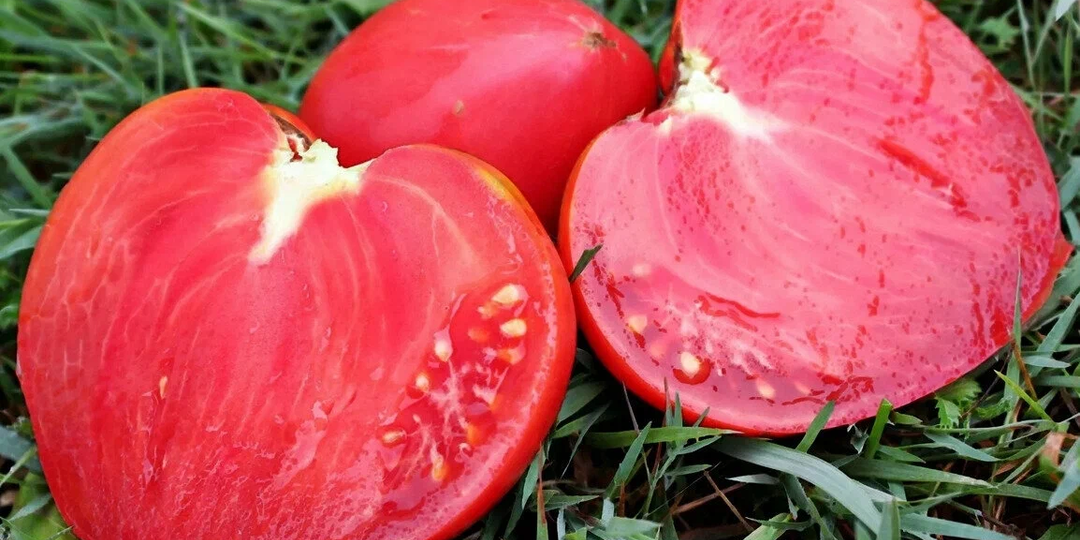 Какие шикарные сорта я выбрала для выращивания в этом году