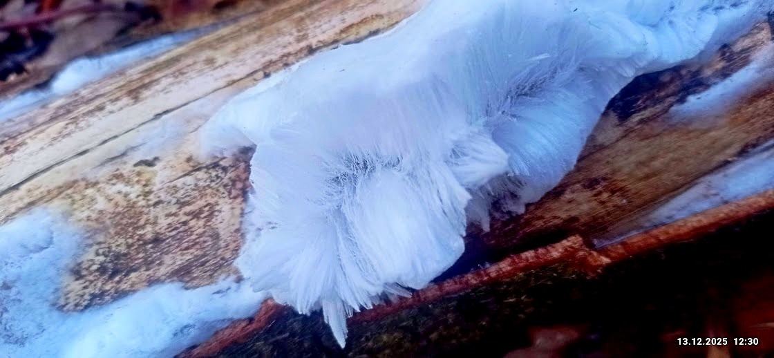 ЛЕДЯНЫЕ ВОЛОСЫ