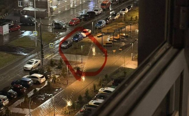    © Telegram-канал «Девяткино онлайн | Мурино»