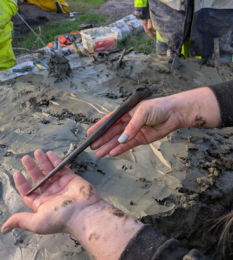    Кинжал, обнаруженный рядом с собакой из Легшемоссена / © Ostlänken Archaeology Project