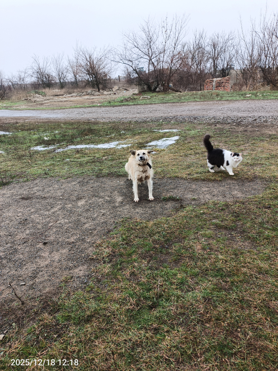 потягушечки