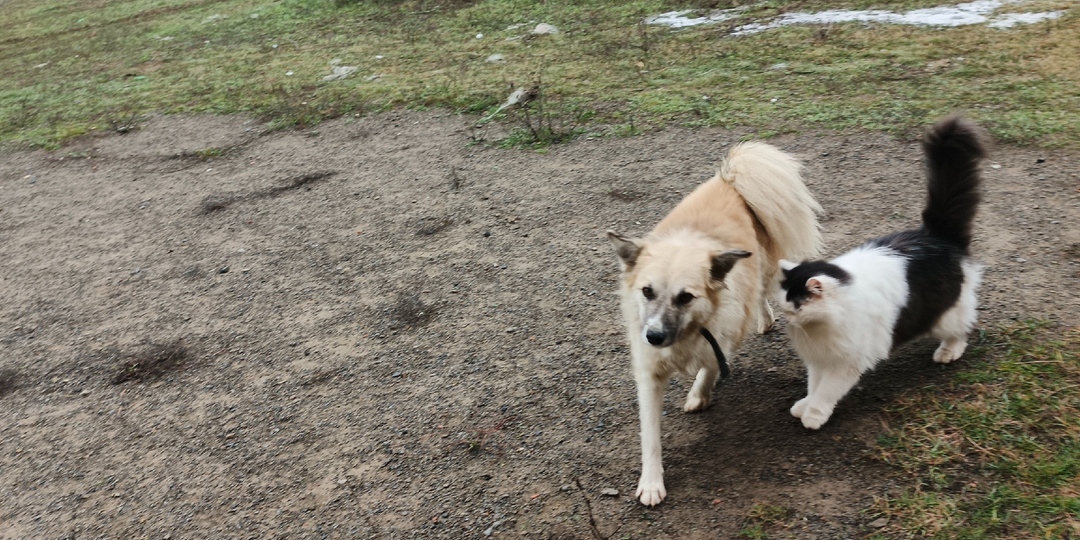 Сегодня больше про Белочку.