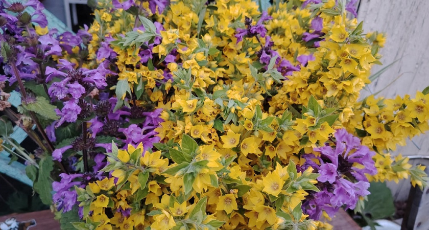    фото из архива редакции