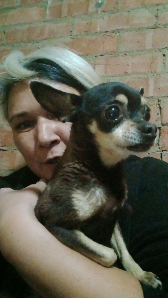 Наргиза Муминова и пёсик Тобик, которого хозяева недавно сдали в приют из-за того, что он стал старый