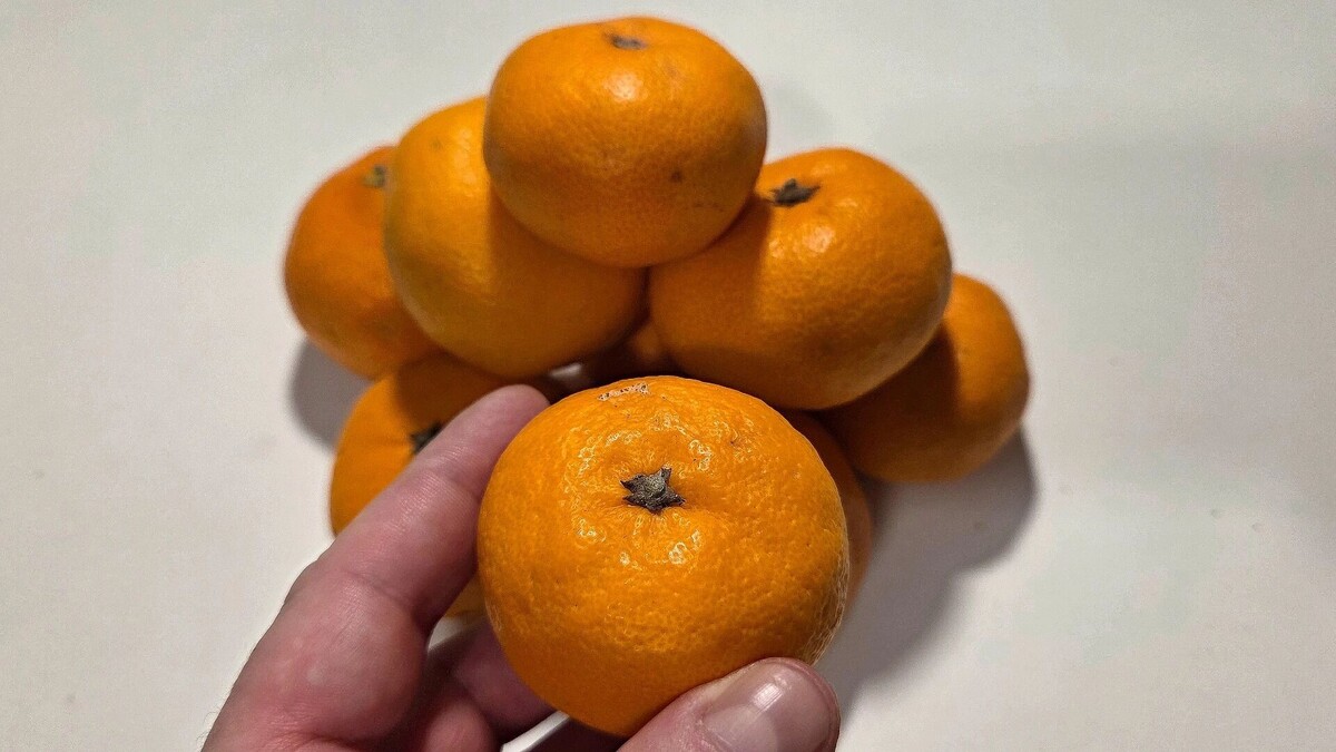    Как правильно сохранить мандарины на Новый год, чтобы не пропали   kubanpress.ru