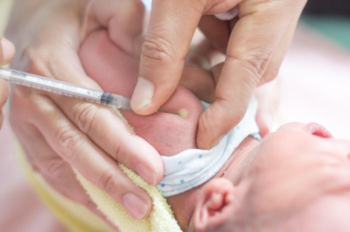 Обложка © Shutterstock / FOTODOM / Akkalak Aiempradit