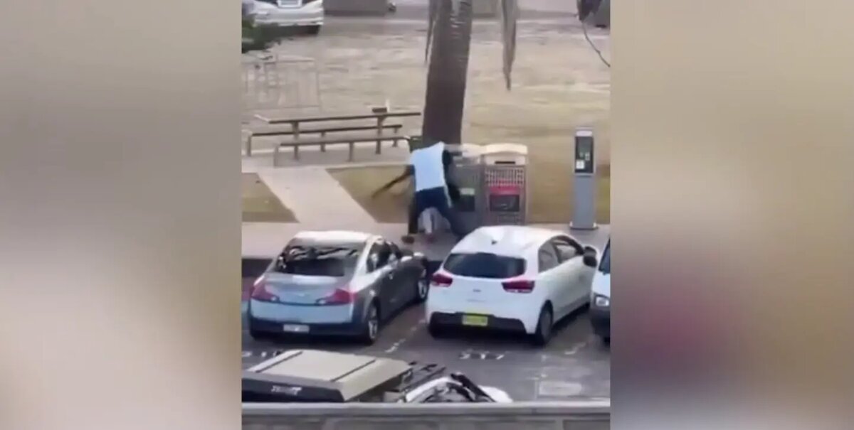    Фото: стоп-кадр видео из соцсетей