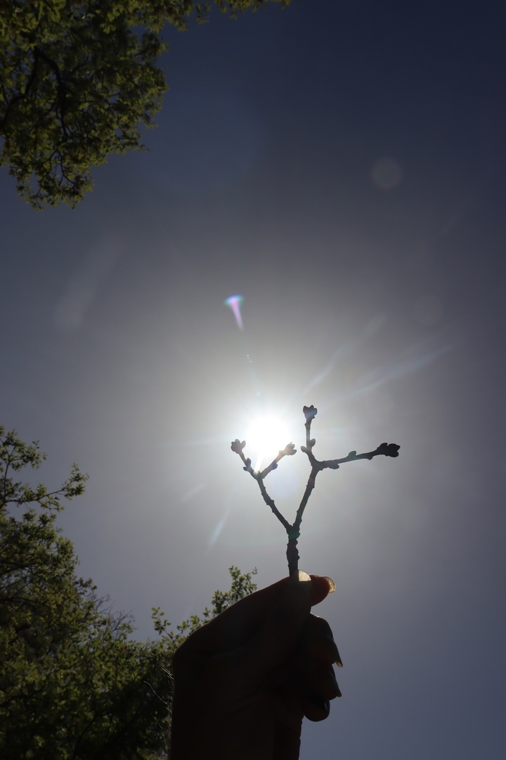 Ориби Каммпирр - Звёзды на небе уже не мерцали (из рассказа Ориби Каммпирр "Опасные фантазии") © Copyright: Ориби Каммпирр