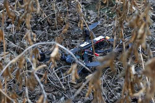    Наталья Шатохина/NEWS.ru