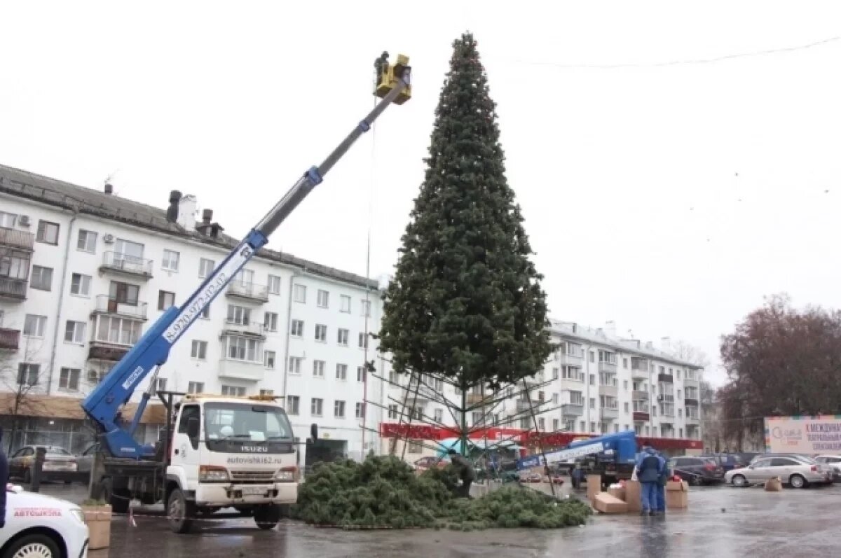    В Рязани постарались оправдать статус Новогодней столицы и подготовились тщательно: установили елки, развесили гирлянды, разместили на улицах, в парках, скверах прочие атрибуты праздника. Вот только не вдохновит ли вандалов вся эта красота на новые разрушения?