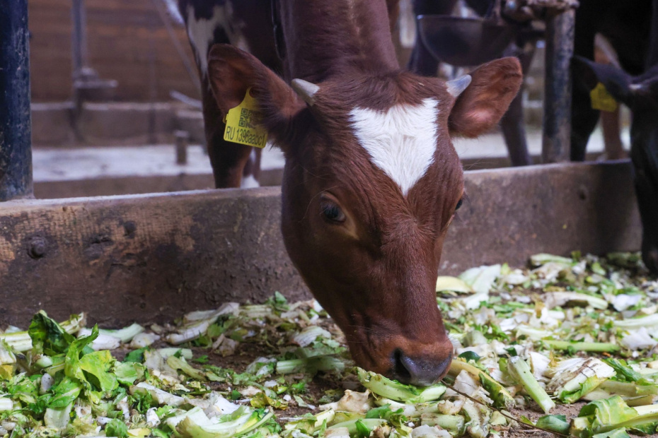    Наталья Шатохина/NEWS.ru
