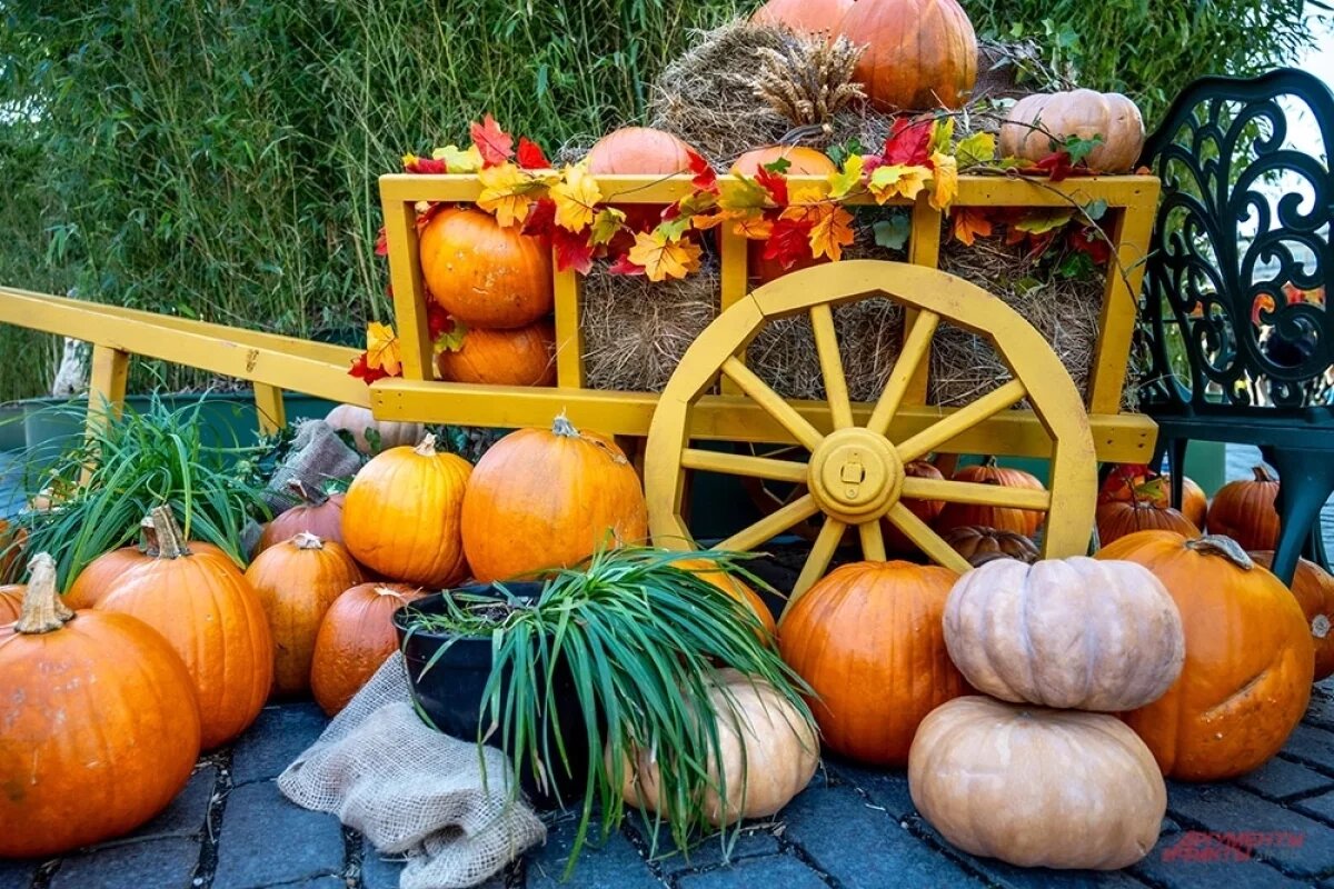    Октябрь — месяц, когда ритм работ смещается в сторону подготовки к зиме.