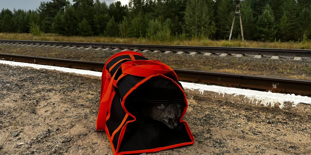 Кошку забрали с остановочной платформы в деревне.