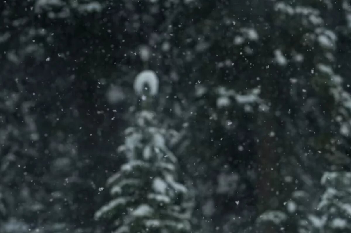    Легкий снег и похолодание: какая погода будет в Хабаровском крае 19 декабря