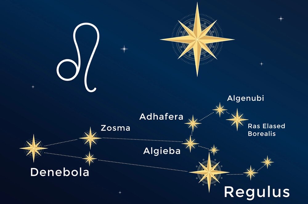    Cозвездие Льва и звезда Регул. Фото: istockphoto.com/ Iv__design