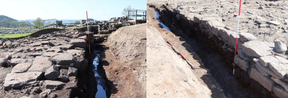   Marissa Ledger et al. / Parasitology, 2025