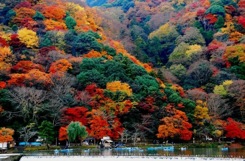 Осень в Японии даже красочнее лета
