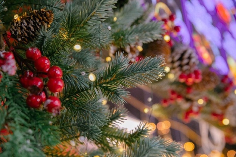    Афиша праздничный мероприятий на Новый год 2026 в Хабаровске Ольга ГРИГОРЬЕВА