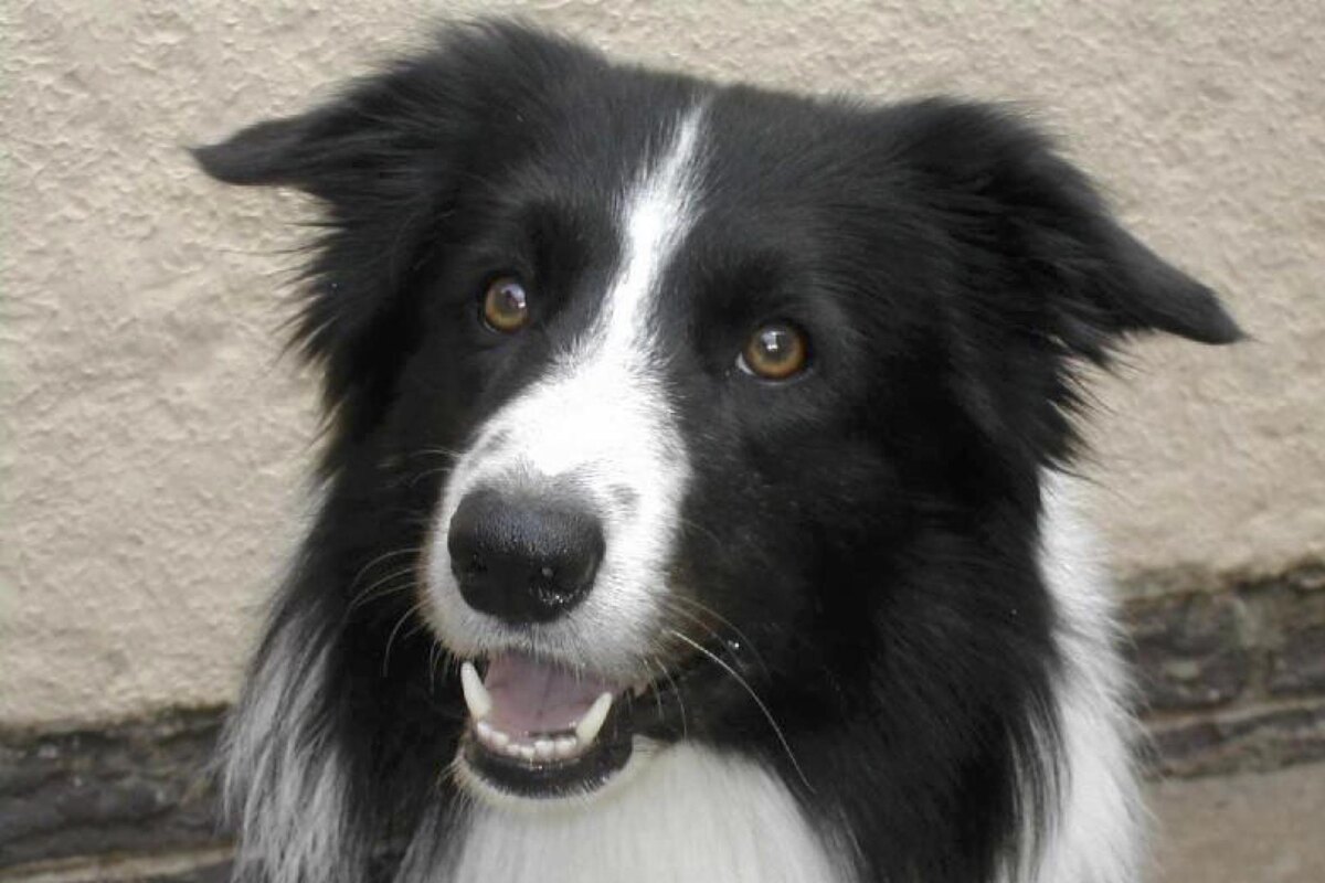 Фото из открытого источника Яндекс 