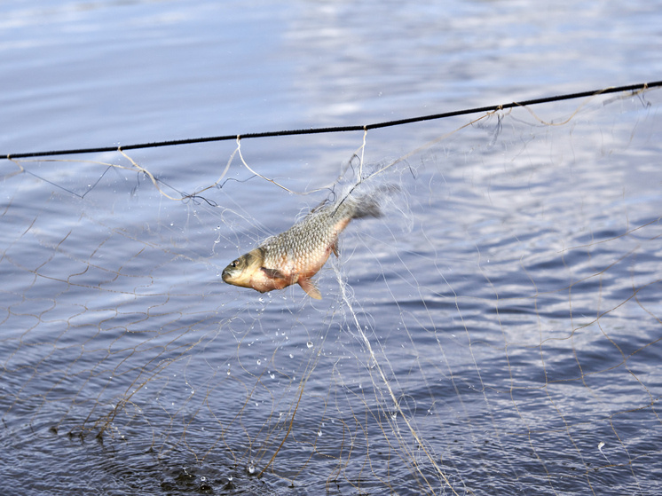     Фото: Сиб.фм