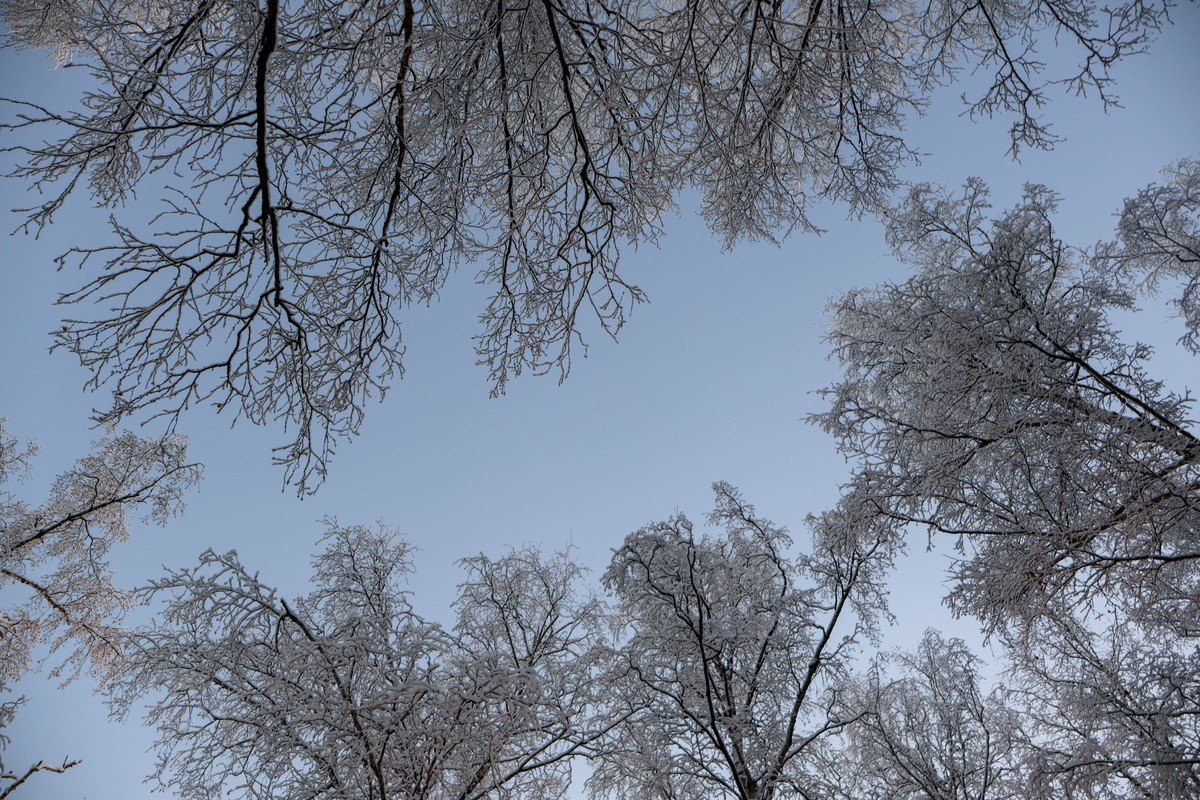 Атмосферный фронт накроет Приморье 23 декабря.  Фото: Фото: ФедералПресс / Вера Романескул