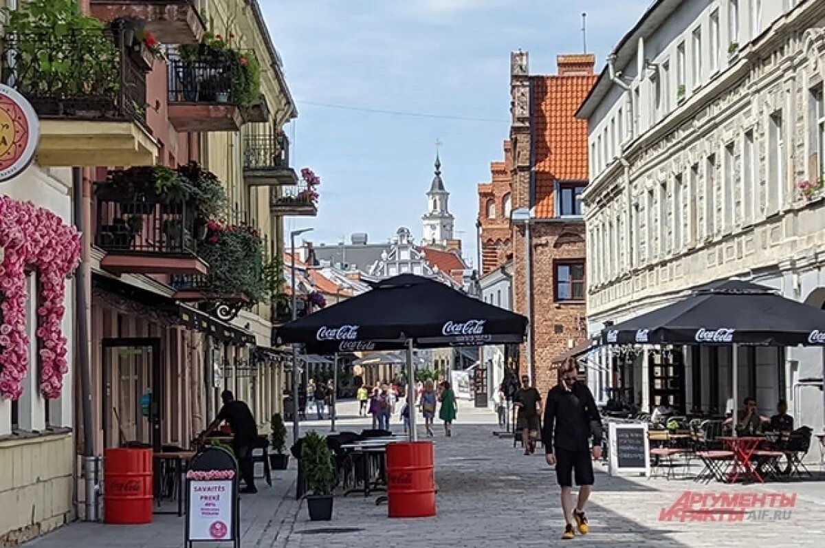    В Литве могут учесть мнение кота при принятии решений в сфере СМИ