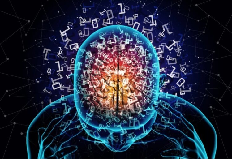 Загадка мощностью в 20 ватт: почему мозг — самый эффективный компьютер