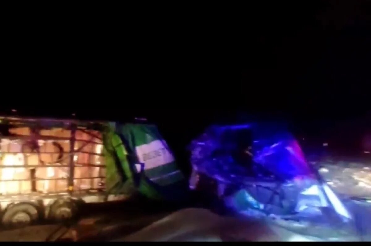    Уроженец Омска и забайкалец погибли в ДТП большегрузов