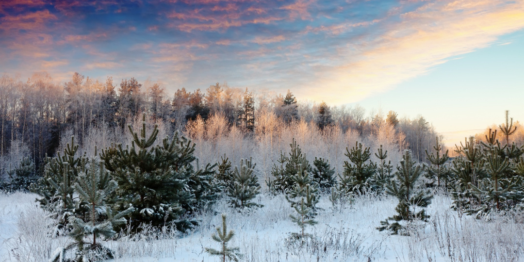 Что нельзя делать 20 декабря, иначе будут преследовать болезни: народные приметы на Амвросимов день