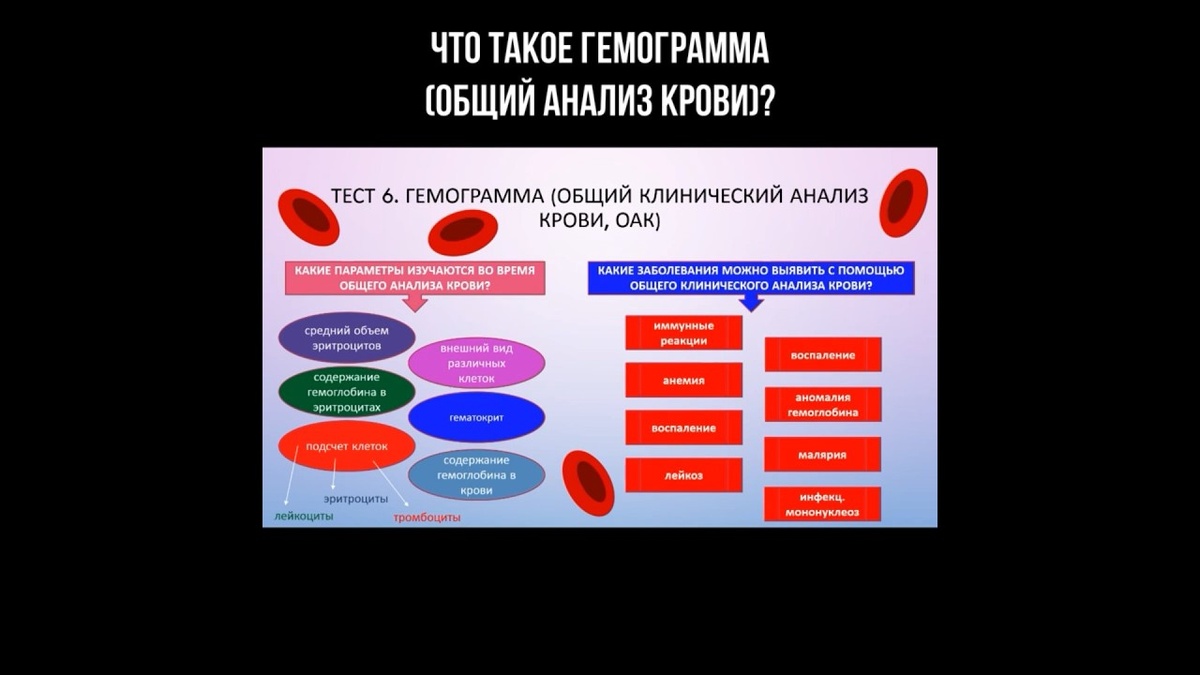 Клинический разбор: какие показатели крови настораживают врачей первыми