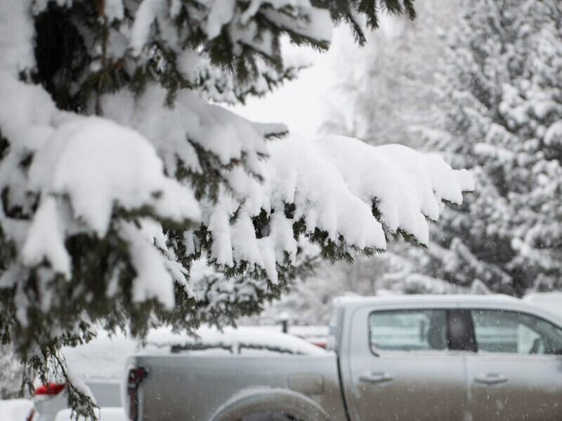 © Фото: nts-tv.ru
