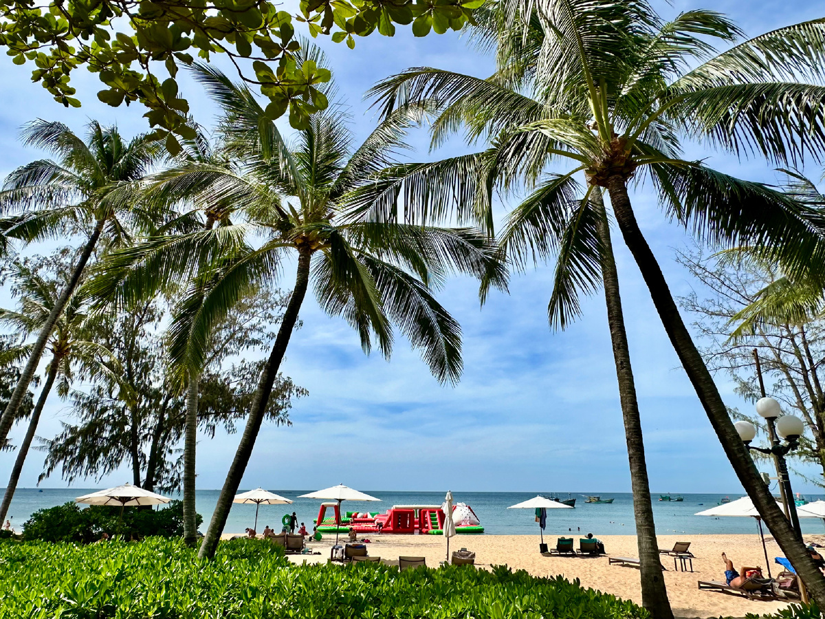 Утренняя пробежка.