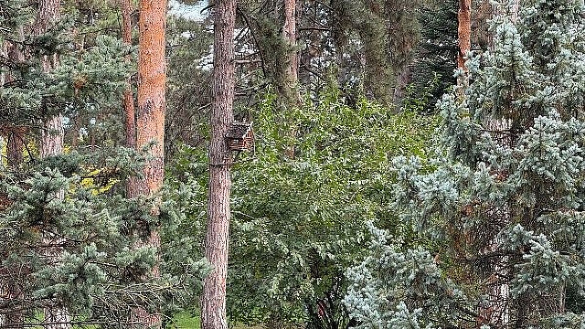    Фото: телеканал «Краснодар»