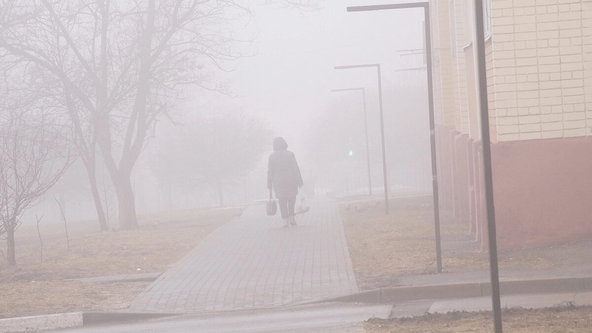    Фото: Сергей Егоров