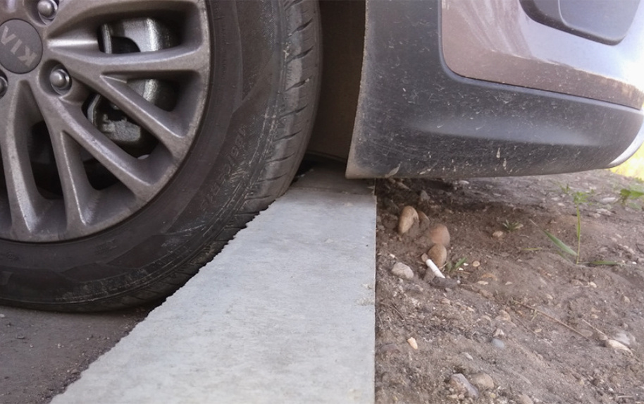 Фото: источник https://clck.ru/3QuUY3