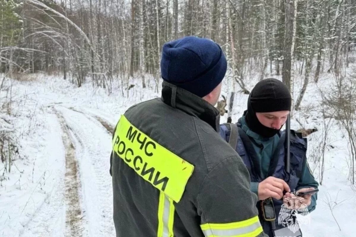    Поиски пропавших на севере Сахалина возобновили спасатели