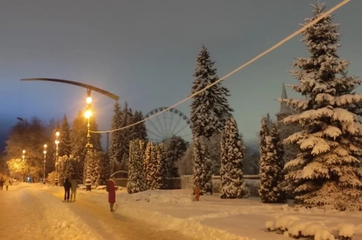    В Новосибирске обработаны почти 3 тысячи елей антивандальным раствором