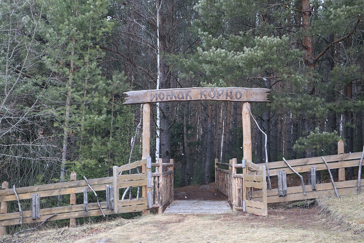    Наталия Николаева/ТАСС